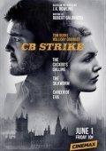 C.B. Strike (2017)